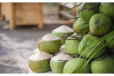 Tender Coconut