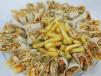 Shawarma Family Medium