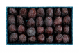 Pre Packed Dates Majdool Super Jumbo 750gm