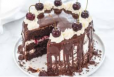 Chocolate Cake Forest