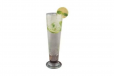 Lemon Mint Mojito