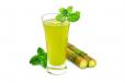 Sugar Cane