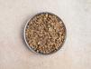 Lentil