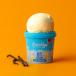 Low-Cal Vanilla Ice Cream 125ml - The Brooklyn Creamery