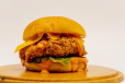 Crispy Chicken Burger  Sandwich