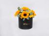 Bright Sunflowers