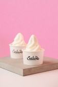Vanilla Ice Cream