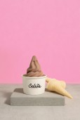 Chocolate Ice Cream