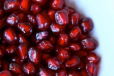 Pomegranate Seed