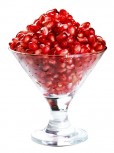 Pomegranate Bricks