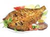 Seabream Fish