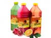 Orange Bottle Juice