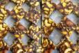 fig Nut Burfi