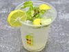 Lemon Mint - Large