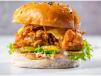 Tikka Burger