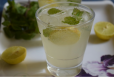 Fresh Lime Soda Sweet And Salt