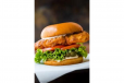 Chicken Mayo Sandwich