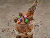 Choco Zilla Sundae