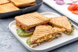 Special Tandoori Veg.Grilled Sandwich