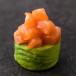 Salmon Temptation