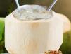 Tender Coconut Expo