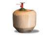 Fresh Coconut