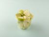 Green Apple Cuts