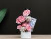 Pink Prosperity Bloom Box