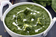 Palak Paneer