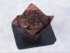Chocolate Muffin