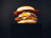 The Brunch Burger Meal