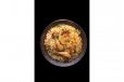 Tokri Exclusive Chicken Biryani