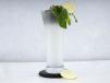 Lemon Mint Juice
