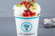 Medium Size Yogurt Ice Cream