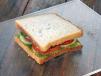 Veg. Sandwich - Plain