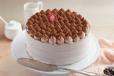 Tiramisu Cocoa Creme