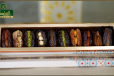 Stuffed Dates medium Box