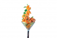 Dynamic Shrimps