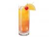 Cocktail Juice