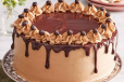 Mocha Cake