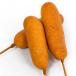 Corndog | 100G