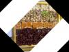 Turkish Delight
