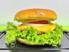Grilled Beef Burger