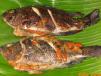 Inihaw Tilapia