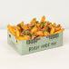 Messy Fries