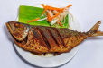 Ayala Fry