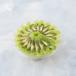 Kiwi Cream