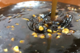 Oman Sweets