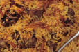 Mutton Biryani