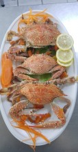Boiled Crab Plate